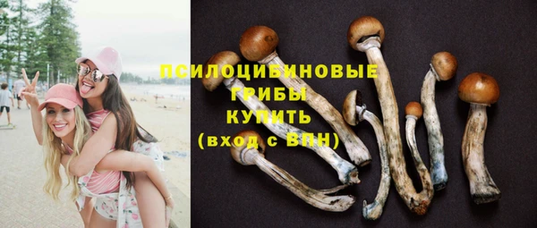 молекула духа Ладушкин